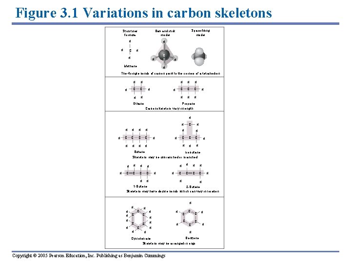 Figure 3. 1 Variations in carbon skeletons Structural formula H H Space-filling model Ball-and-stick