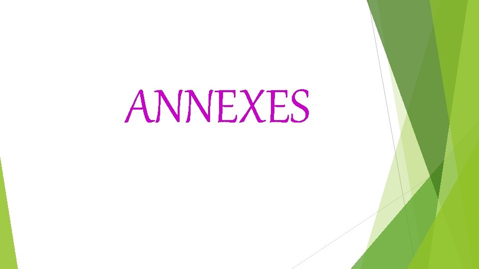 ANNEXES 