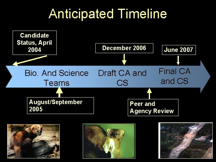 Anticipated Timeline Candidate Status, April 2004 Bio. And Science Teams August/September 2005 December 2006