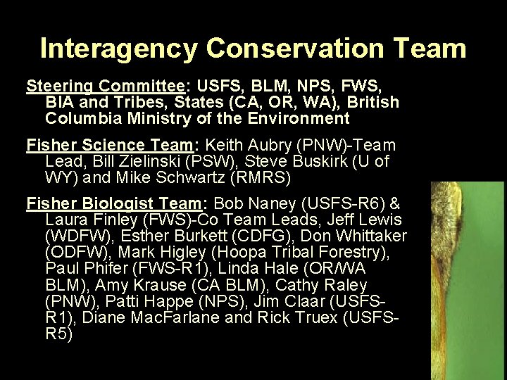 Interagency Conservation Team Steering Committee: USFS, BLM, NPS, FWS, BIA and Tribes, States (CA,