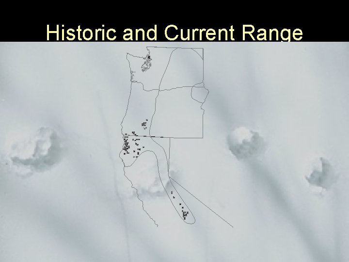 Historic and Current Range 