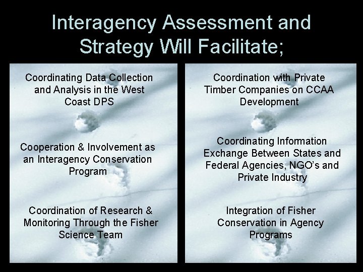 Interagency Assessment and Strategy Will Facilitate; Coordinating Data Collection and Analysis in the West