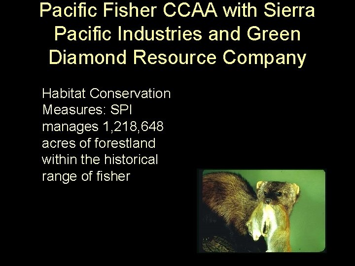 Pacific Fisher CCAA with Sierra Pacific Industries and Green Diamond Resource Company Habitat Conservation