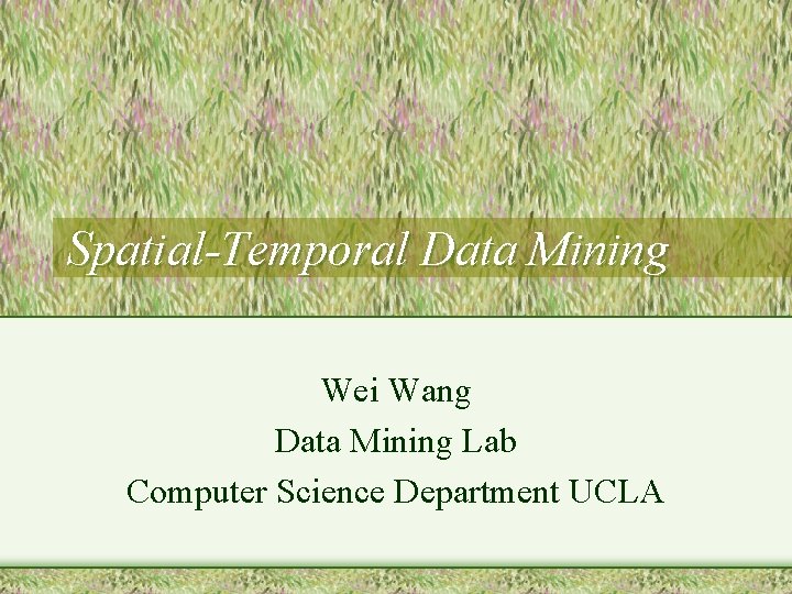 Spatial-Temporal Data Mining Wei Wang Data Mining Lab Computer Science Department UCLA 