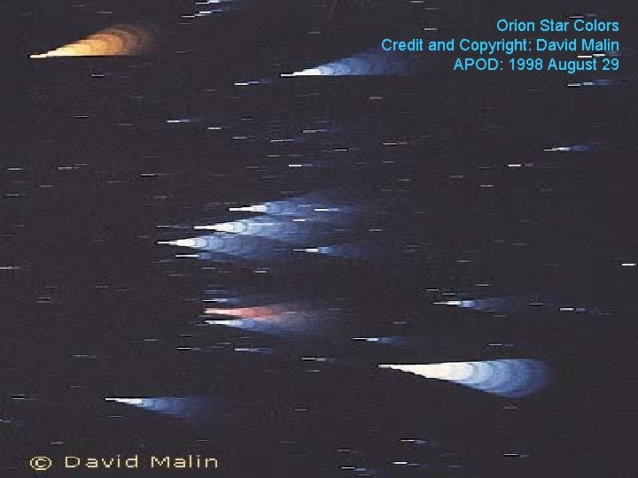 Orion Star Colors Credit and Copyright: David Malin APOD: 1998 August 29 