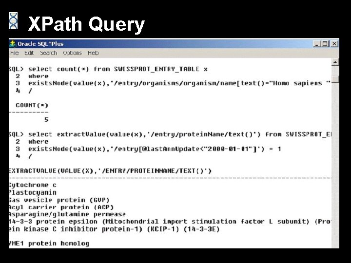 XPath Query 