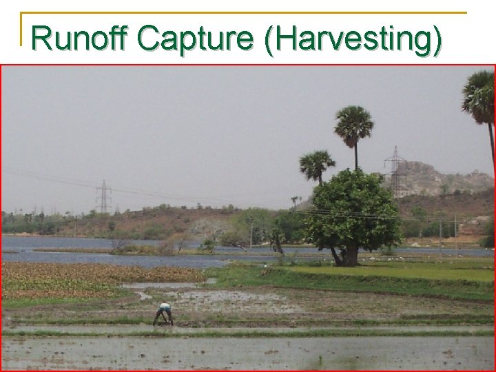 Runoff Capture (Harvesting) 