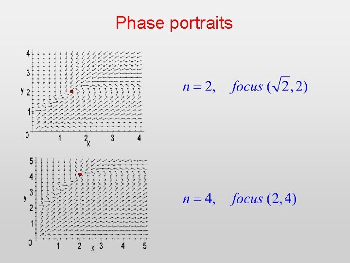 Phase portraits 