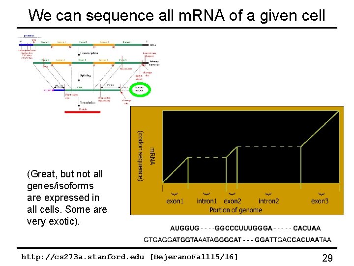 We can sequence all m. RNA of a given cell (Great, but not all We can sequence all m. RNA of a given cell (Great, but not all