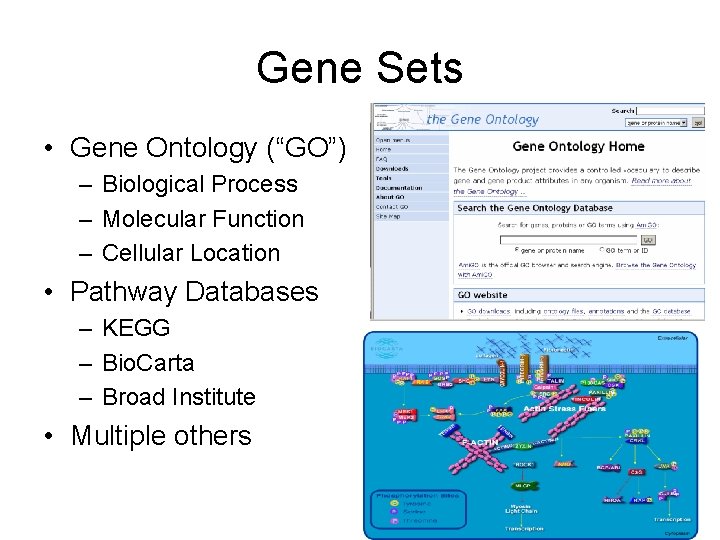 Gene Sets • Gene Ontology (“GO”) – Biological Process – Molecular Function – Cellular Gene Sets • Gene Ontology (“GO”) – Biological Process – Molecular Function – Cellular