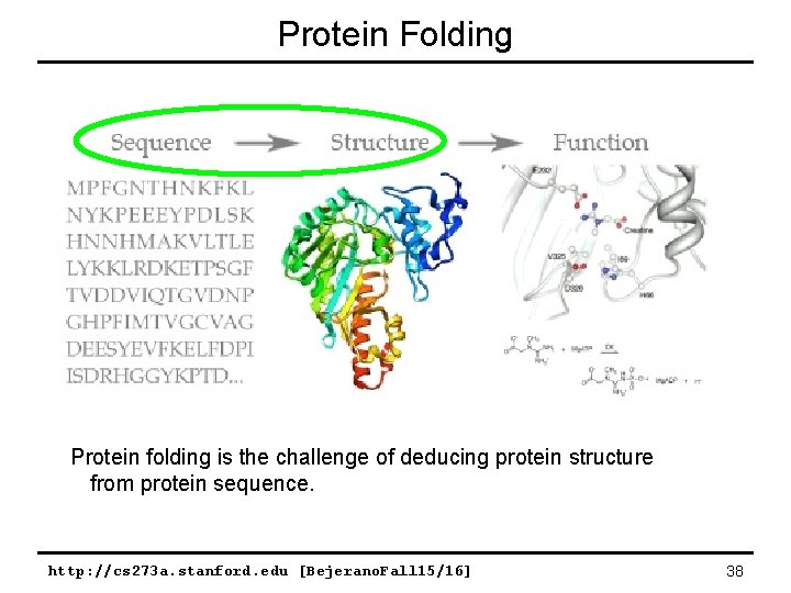 Protein Folding Protein folding is the challenge of deducing protein structure from protein sequence. Protein Folding Protein folding is the challenge of deducing protein structure from protein sequence.