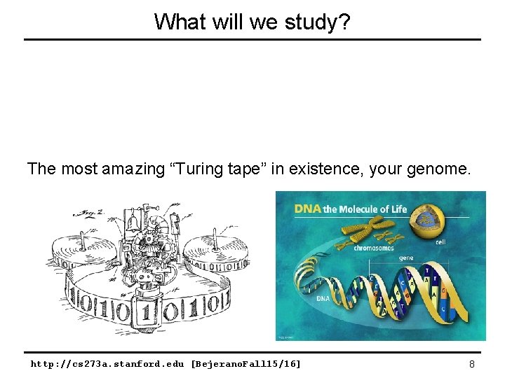 What will we study? The most amazing “Turing tape” in existence, your genome. http: What will we study? The most amazing “Turing tape” in existence, your genome. http: