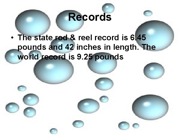 Records • The state rod & reel record is 6. 45 pounds and 42
