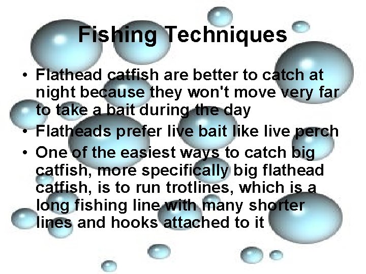 Fishing Techniques • Flathead catfish are better to catch at night because they won't