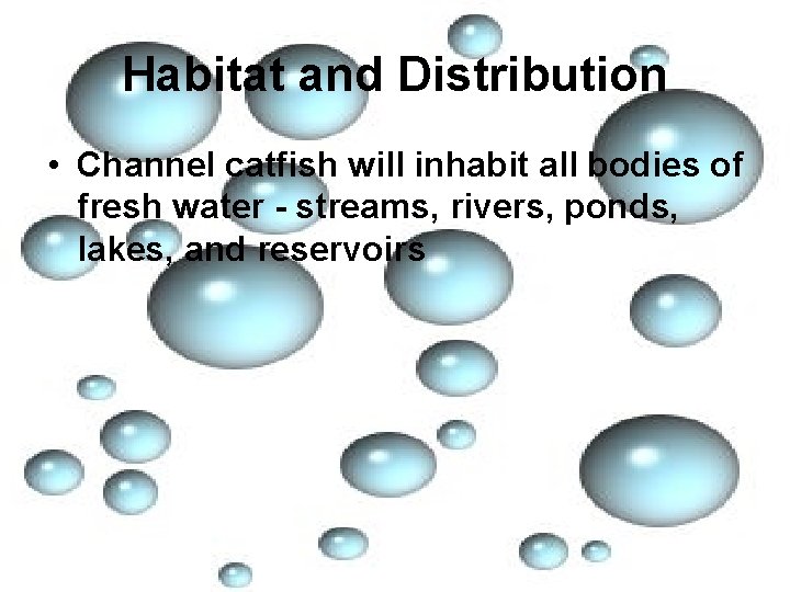 Habitat and Distribution • Channel catfish will inhabit all bodies of fresh water -