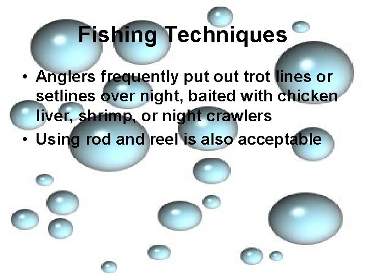 Fishing Techniques • Anglers frequently put out trot lines or setlines over night, baited