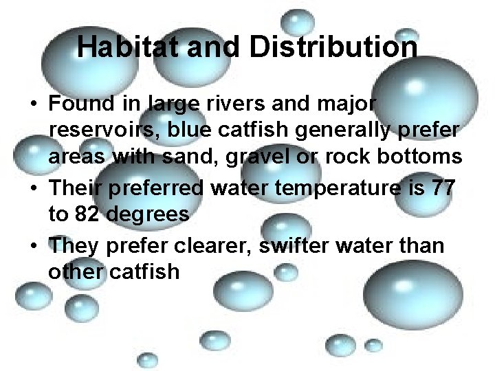 Habitat and Distribution • Found in large rivers and major reservoirs, blue catfish generally