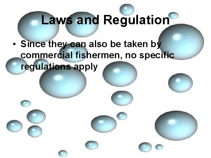 Laws and Regulation • Since they can also be taken by commercial fishermen, no