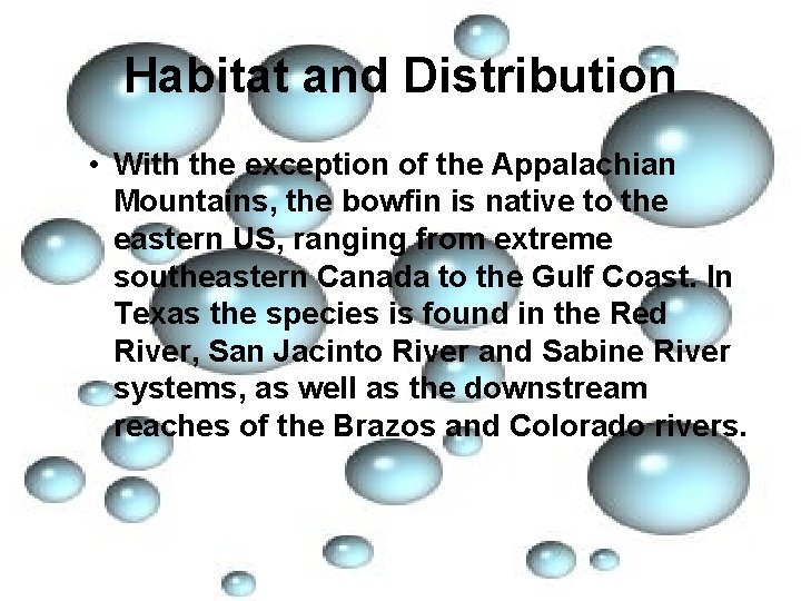Habitat and Distribution • With the exception of the Appalachian Mountains, the bowfin is
