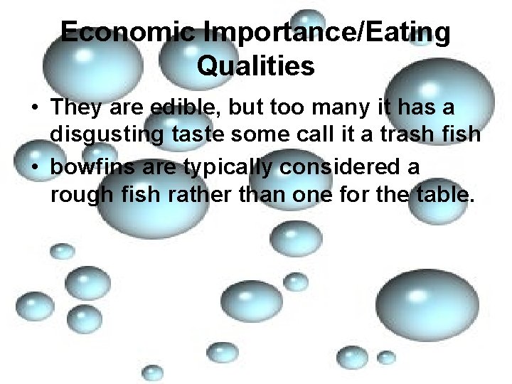 Economic Importance/Eating Qualities • They are edible, but too many it has a disgusting