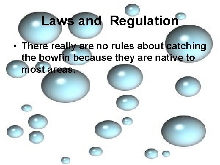 Laws and Regulation • There really are no rules about catching the bowfin because