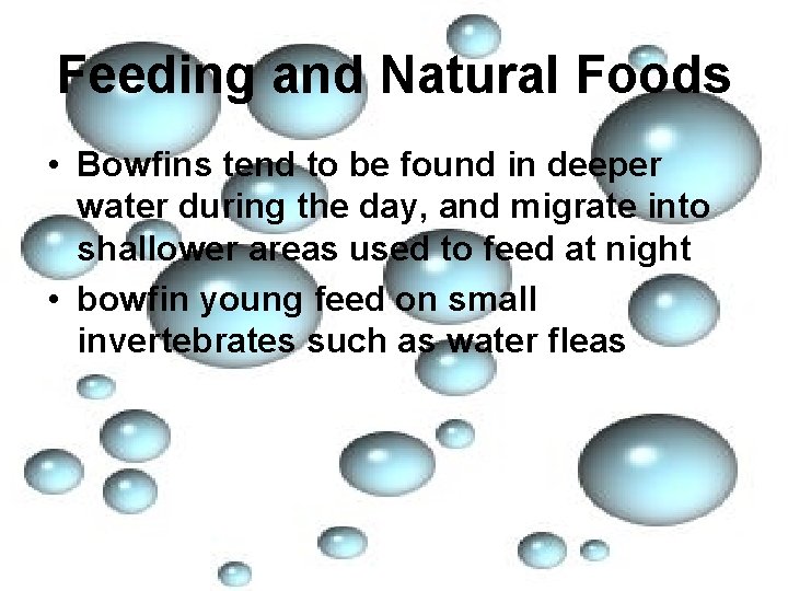 Feeding and Natural Foods • Bowfins tend to be found in deeper water during