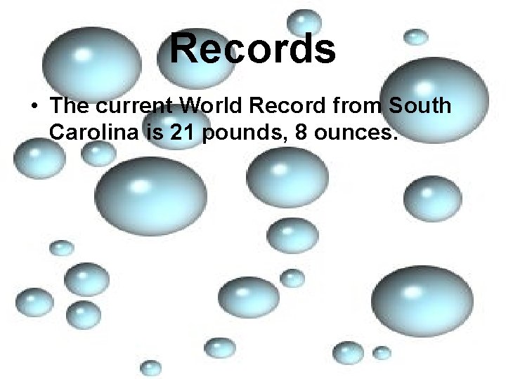 Records • The current World Record from South Carolina is 21 pounds, 8 ounces.