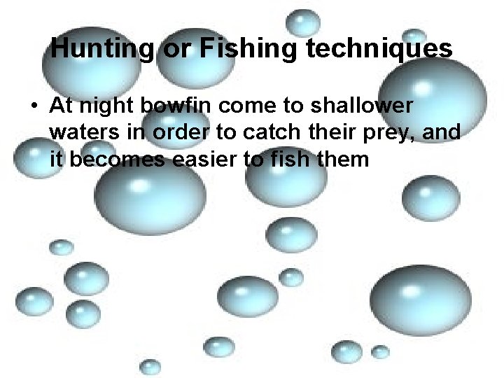 Hunting or Fishing techniques • At night bowfin come to shallower waters in order