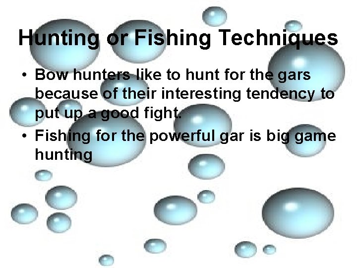 Hunting or Fishing Techniques • Bow hunters like to hunt for the gars because