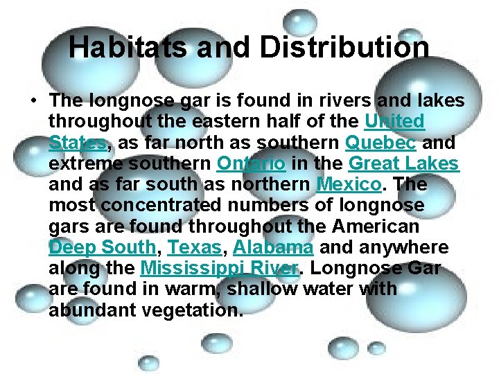 Habitats and Distribution • The longnose gar is found in rivers and lakes throughout
