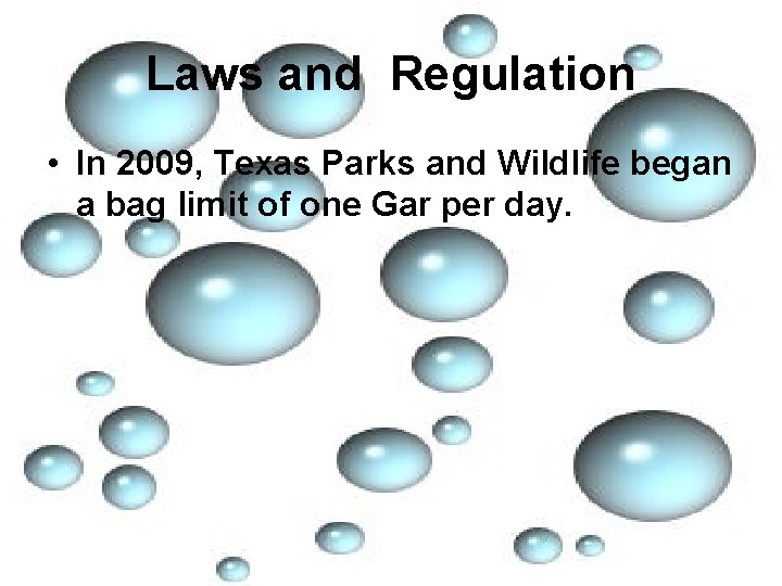 Laws and Regulation • In 2009, Texas Parks and Wildlife began a bag limit
