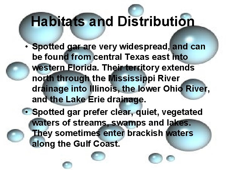Habitats and Distribution • Spotted gar are very widespread, and can be found from