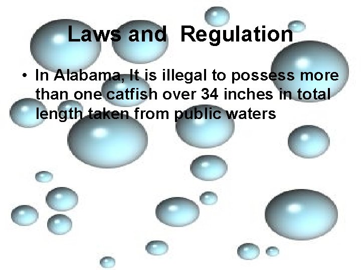 Laws and Regulation • In Alabama, It is illegal to possess more than one