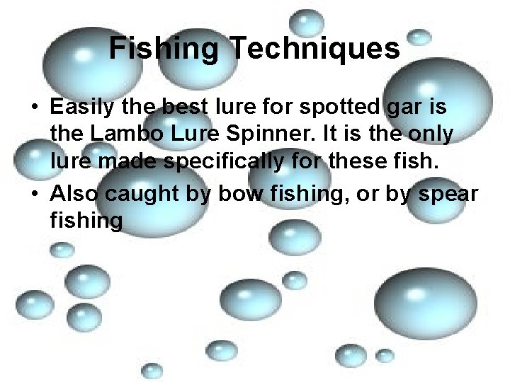 Fishing Techniques • Easily the best lure for spotted gar is the Lambo Lure