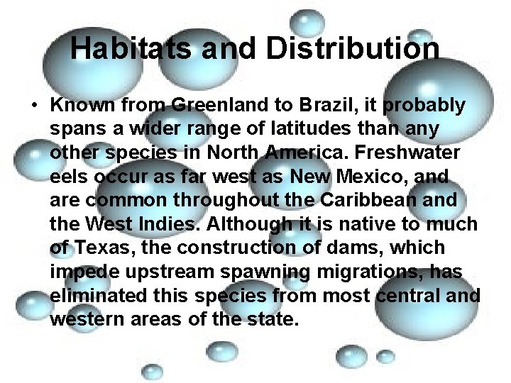 Habitats and Distribution • Known from Greenland to Brazil, it probably spans a wider