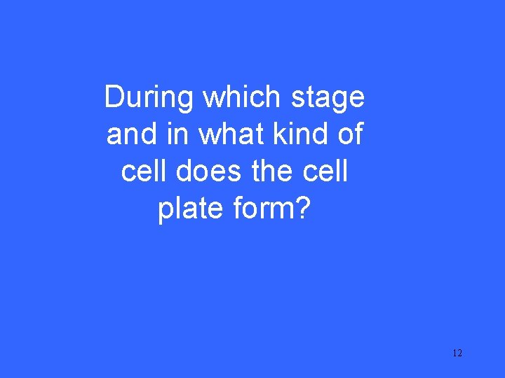 II 5 During which stage and in what kind of cell does the cell