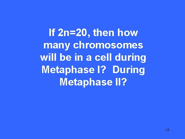 II 20 If 2 n=20, then how many chromosomes will be in a cell