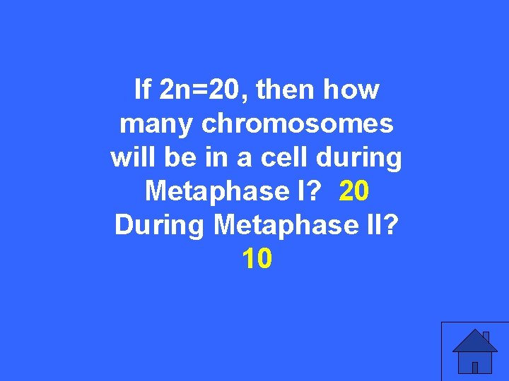 II 20 a If 2 n=20, then how many chromosomes will be in a