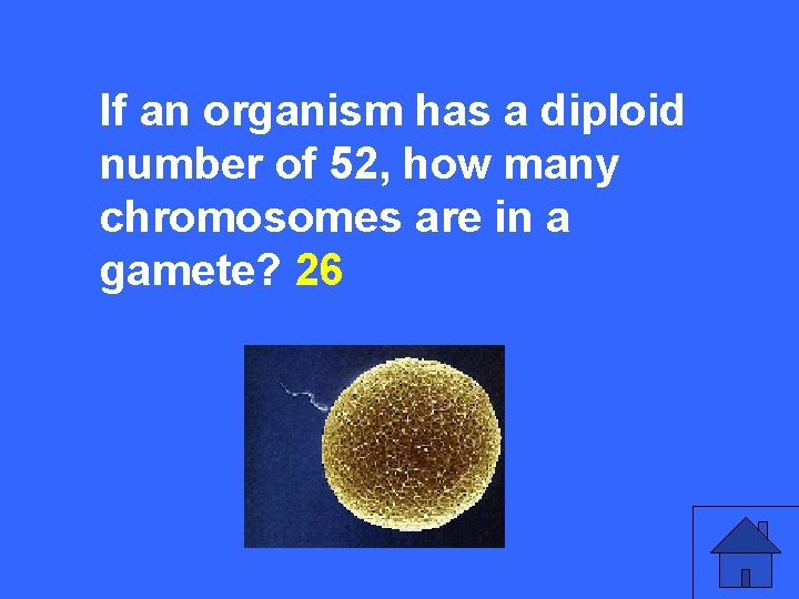 IIIIf 5 a an organism has a diploid number of 52, how many chromosomes