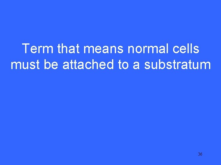 IV 15 Term that means normal cells must be attached to a substratum 36