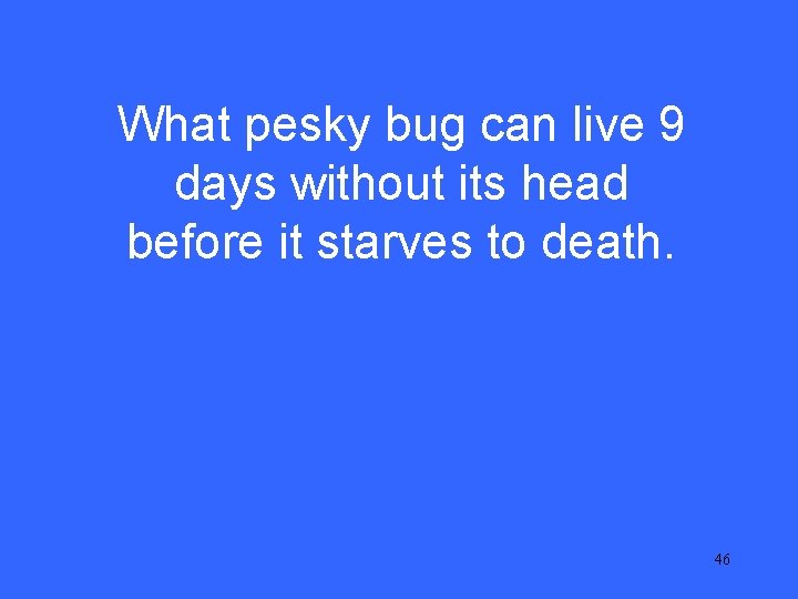 V 15 What pesky bug can live 9 days without its head before it