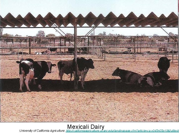 Climate Institute Mexicali Dairy University of California Agriculture: http: //californiaagriculture. ucanr. edu/landingpage. cfm? article=ca.