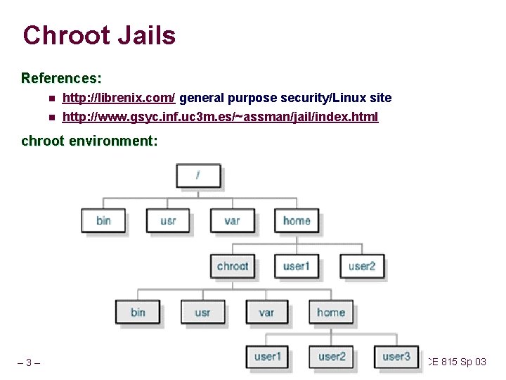 CSCE 815 Network Security Lecture 24 Your Jail
