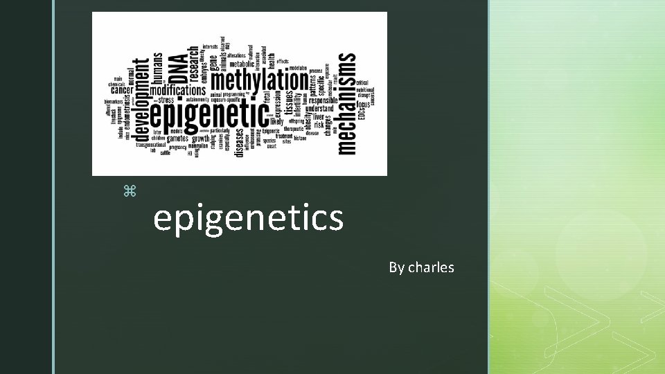 z epigenetics By charles 