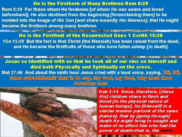 He is the Firstborn of Many Brethren Rom 8: 29 For those whom He