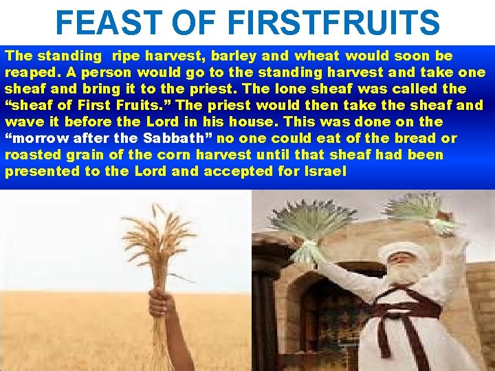 FEAST OF FIRSTFRUITS The standing ripe harvest, barley and wheat would soon be reaped.