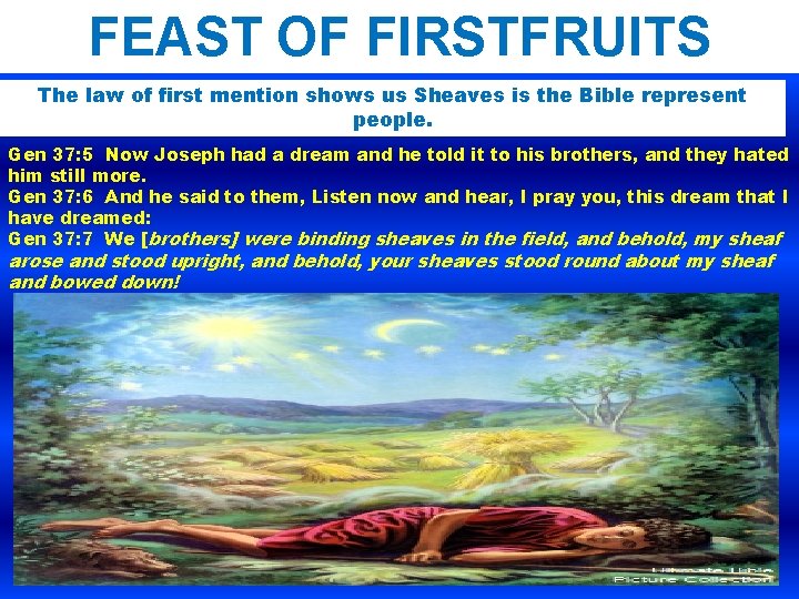 FEAST OF FIRSTFRUITS The law of first mention shows us Sheaves is the Bible