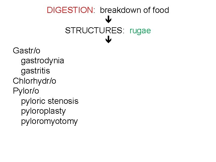 DIGESTION: breakdown of food STRUCTURES: rugae Gastr/o gastrodynia gastritis Chlorhydr/o Pylor/o pyloric stenosis pyloroplasty