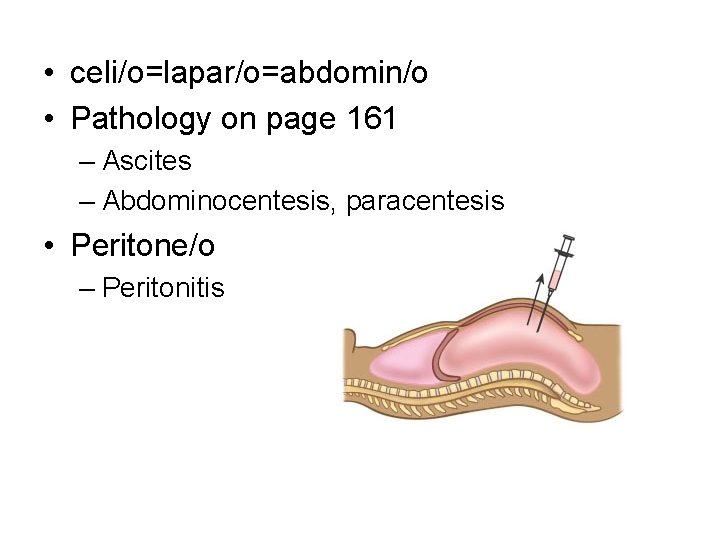  • celi/o=lapar/o=abdomin/o • Pathology on page 161 – Ascites – Abdominocentesis, paracentesis •