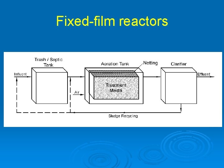 Fixed-film reactors 